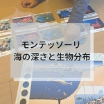 ☆モンテッソーリ☆海の深さと生物分布