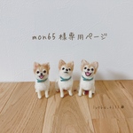 ＊オーダー品＊手乗りうちの子🐾ロコちゃん