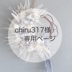 ［chiru317様𓍯専用ページ］