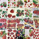 (再販×8)🍓いちごのポストカードセット🍓＊葉書＊コラージュ素材＊メッセージカードにも♪