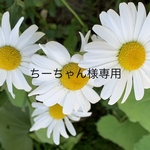 イニシャルチャーム