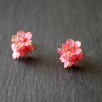 ＊特集掲載＊ 河津桜　ピアス／イヤリング
