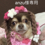 ♫桜のお花と愛情たっぷりをいとしの我が子に！三つ編み帽子犬用雛祭り コスプレ 