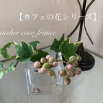 【再販】⭐︎カフェの花シリーズ⭐︎アイビーとピンクの実のマジカルウォーターアレンジ（光触媒コーティング）