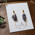 "Iolite..spring"サージカルステンレス アイオライト ピアス☽ 