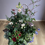 パルマスミレ鉢植え入り　寄せ植え 花苗セット　Kanonセレクト♡ 花苗セット 9点 ♡ 