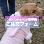 caprice-ange様専用ご注文フォーム