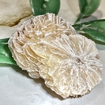 【知性の石】砂漠の薔薇　デザートローズ　セレナイト