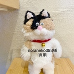 専用ページ