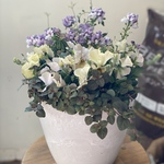 土を使わない季節の寄せ植え　ネメシア　