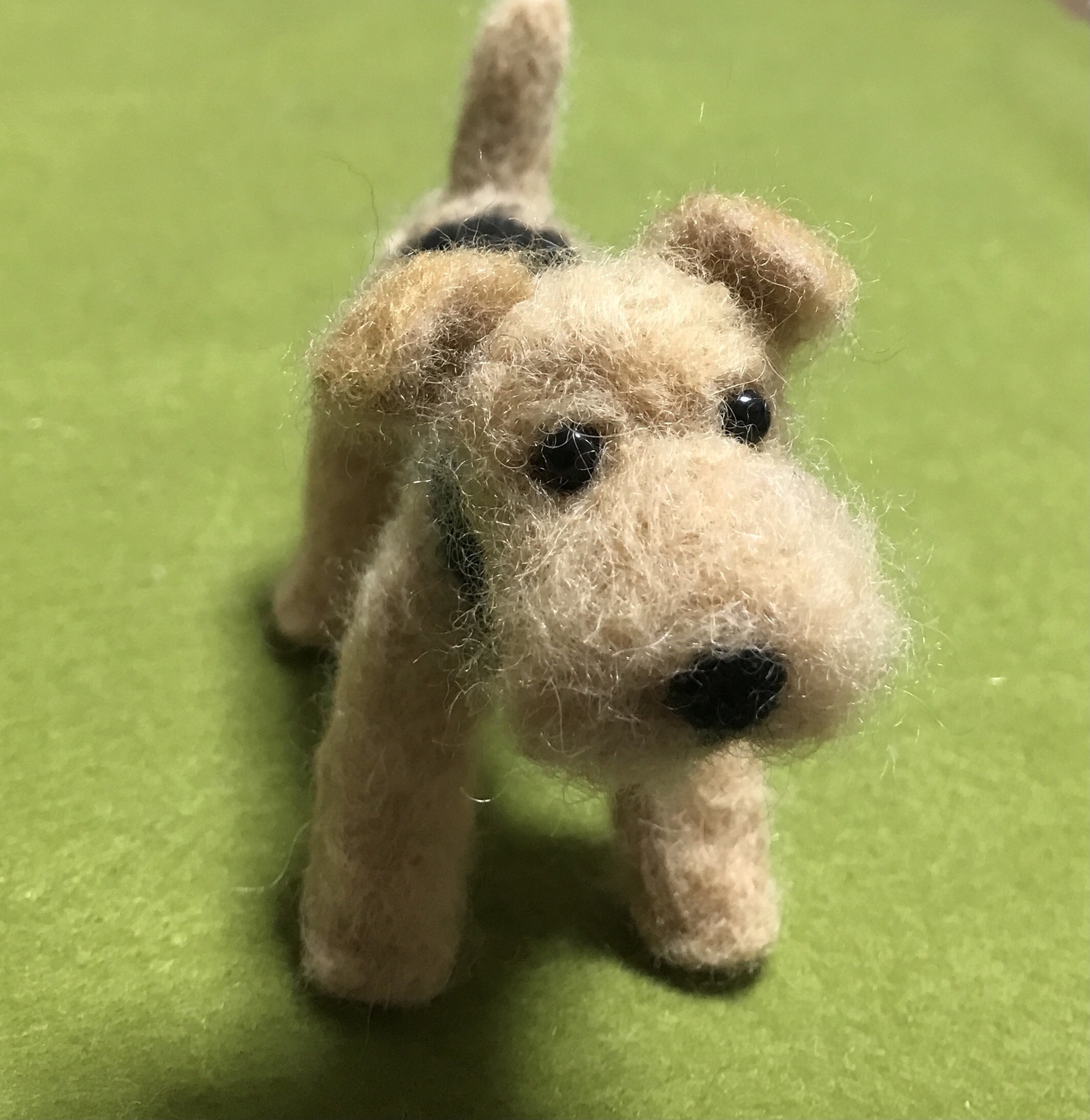 羊毛フェルト　くー様確認用　ウェルシュテリア　犬　ハンドメイド　オーダー 羊毛フェルト くー様オーダー ウェルシュテリア 犬 ハンドメイド オーダー