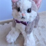 ハチワレ子猫のぬいぐるみ