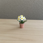 水仙　ミニミニテラコッタ鉢　8