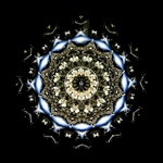 万華鏡「Galiana」