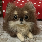 羊毛フェルト　チワワ