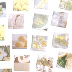 海外フレークシール 46枚入 ＊forever(yellow)＊ [FS037]
