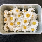 花かんざし　ドライフラワー　３０輪