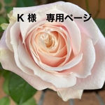 K 様専用ページ