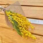 ミモザのスワッグ