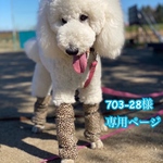 703-28様専用ページ