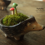 豆鉢　ハリネズミとコケ　その2