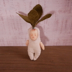 マンドレイクの子