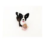 メイちゃん専用羊毛フェルト オーダー コーギーカーディガン