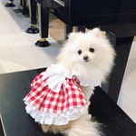 犬服　春　天使のフリルワンピース　紅色　そう刺繍とチェックのワンピース
