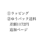 1172円追加料金ページ