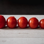 最高峰🍅特別栽培「プレ宮トマト ゴールド」1㎏
