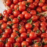 【食べ比べ】特別栽培🍅宮トマト500ｇ+プレ宮トマト500ｇ🍅合計１㎏