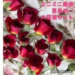 大容量セット★ミニミニ薔薇（茎長め）ドライフラワー★25輪セット+おまけ2輪付き！★小さめミニバラ★ミニハーバリウム等に♡
