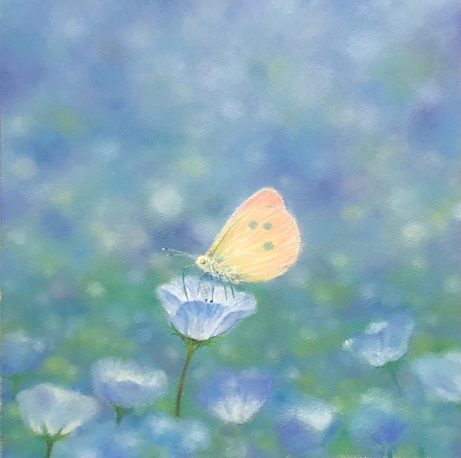 水草のすべて　和泉克雄　熱帯魚　水槽　栽培 水草のすべて/日本初の水槽用植物の本/和泉克雄/水草の効用