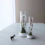 Botanicaltube spring collection たんぽぽとつくし