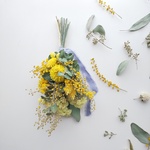 ヘリクリサムとミモザのスワッグ 𖦞