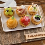 ＊palm miniature【再販】6種のフルーツミニタルト＊