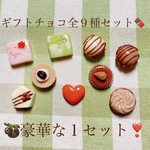 ギフトチョコ全9種セット🍫マグネット