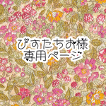 ぴすたちお様 専用ページ