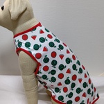 大型犬用服スイカ柄