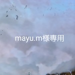 mayu.m様専用