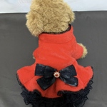 犬猫うさちゃん服　クリスマスにもおすすめ🎄レースたっぷり！赤色のワンピース