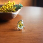 送料無料＊春咲きドライフラワーリング/ミモザ
