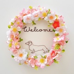 ダックスフンドのWelcome桜リース