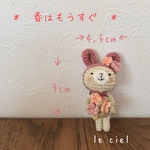 ＊　春はもうすぐ　＊