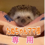こちらはたぬちゃんママ様専用