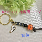 専用ページ