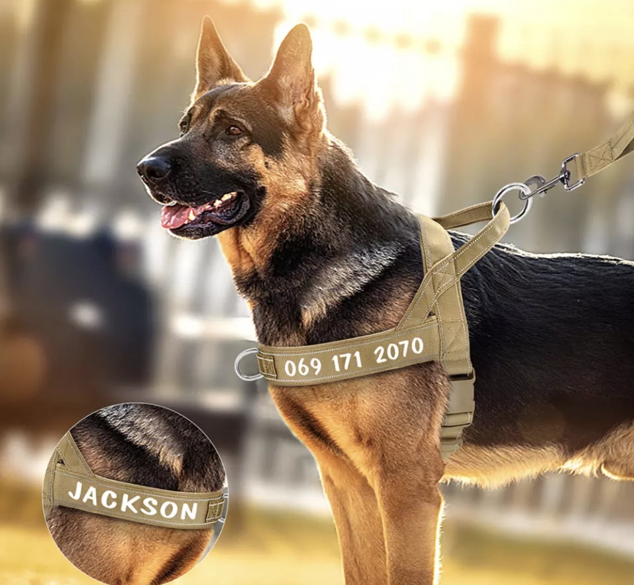 オーダーメイド ハーネス 首輪 ペット 犬 猫 お名前入り - movidog'S