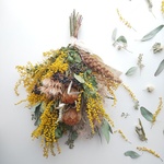 ドライアンドラとミモザのスワッグ 𖦞