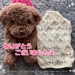 最終お値下げ💝レース模様ニットウェア