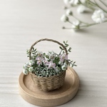 春の草花の寄せ植え